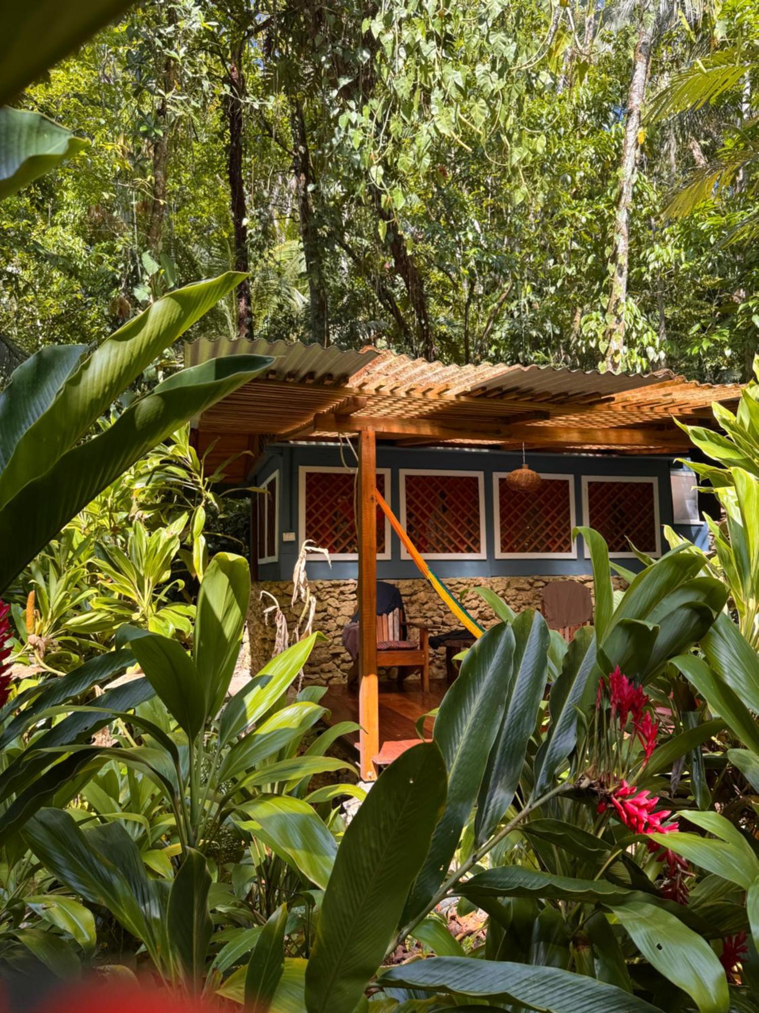 Finca Tatin Hotel Izabal Bagian luar foto