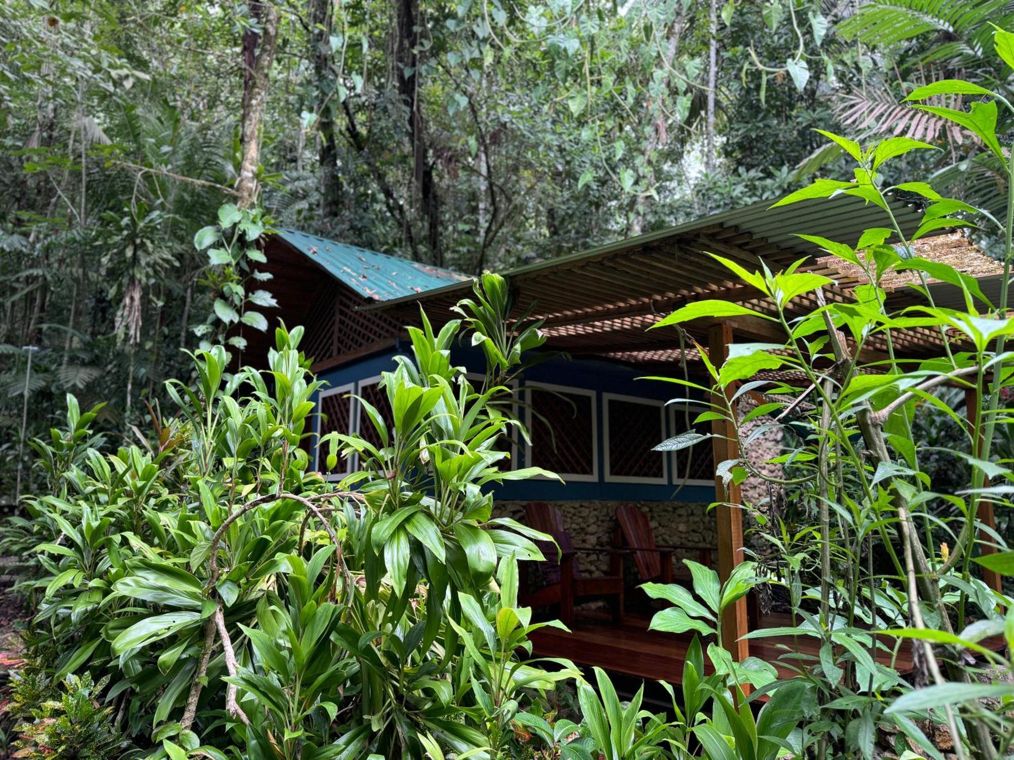 Finca Tatin Hotel Izabal Bagian luar foto